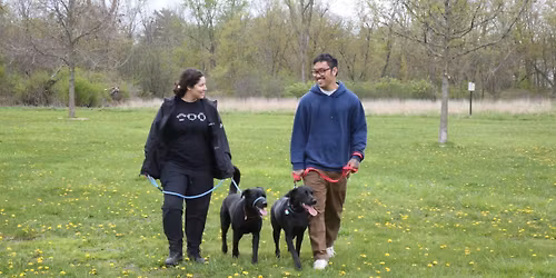 Doggie Date Night @ Dan Ryan Woods