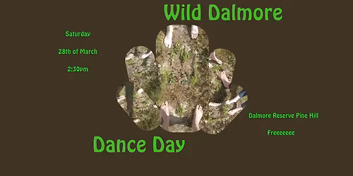 Wild Dalmore Dance Day