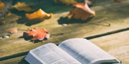 Women in the Word
