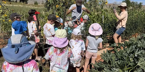 Wacky Fish Camp - 2026