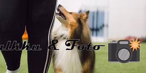 Valkku & Foto koulutustapahtuma