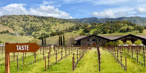 Oslo Sparkling Collection 