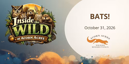 BATS! - Inside the Wild at Acorn Acres