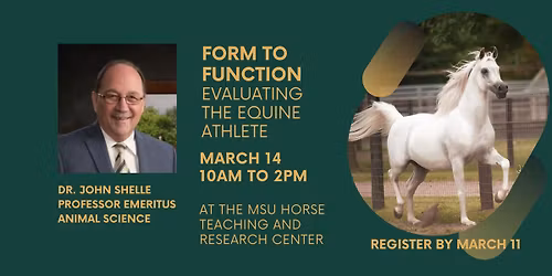 Form to Function: Evaluating the Equine Athlete