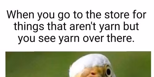 Yarn in the park!