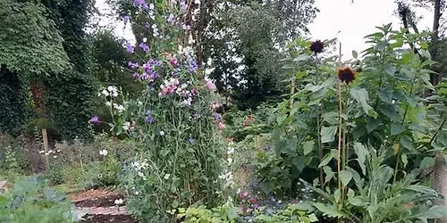 Every Saturday@Elmwood College Allotments 9.30 am