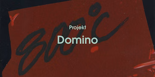 Vernis\u00e1\u017e fotografi\u00ed: Projekt Domino