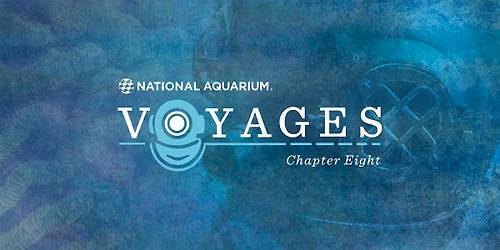 Voyages: Chapter 8