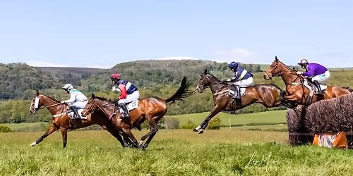 New Forest Hounds Point to Point