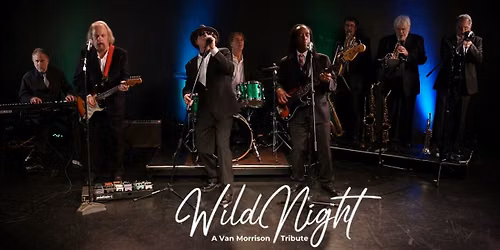 Wild Night: A Van Morrison Tribute