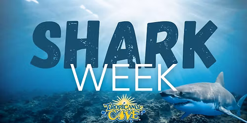 Shark Week at Tropicanoe Cove
