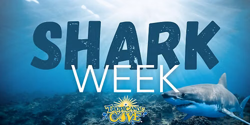 Shark Week at Tropicanoe Cove