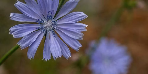 Nature Photography Meetup