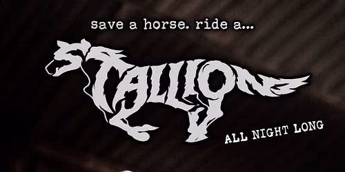 RIDEDASTALLION & Friends B2B ANL