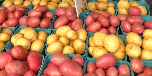 🌱 White Rock Farmers Market 2026 🌱 Every Sunday | April 19 – October 11 | 10am–2pm