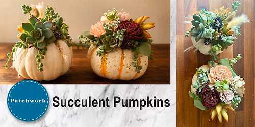 Patchwork Presents Succulent Pumpkins Craft Workshop