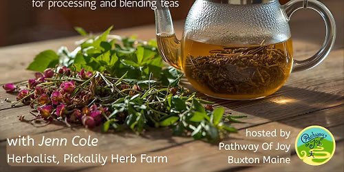 *NEW* Herbal Remedies for Wellness with Jenn Cole (In Person and Online)