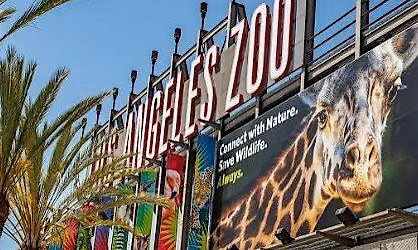 Family Adventure: Los Angeles Zoo Creature Quest