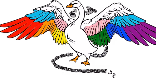 Queer  DND @vault 17