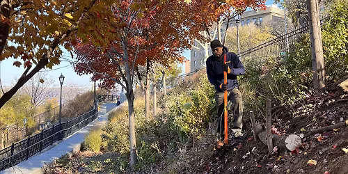 PlacePartner Opportunity: Sunset Gardening at W 153rd St