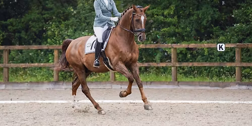 British Dressage