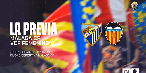 Malaga CF vs Valencia CF at Estadio La Rosaleda