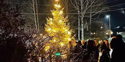 Julegrantenning p\u00e5 Arbeidersm\u00e5bruket Furuseth \ud83c\udf32