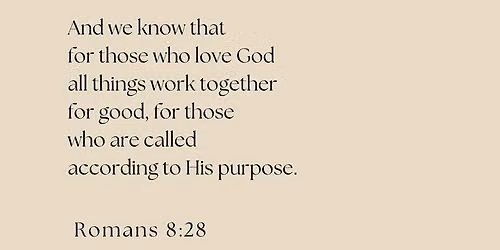 Weekly Women’s Bible Study & Fellowship