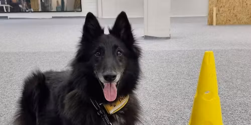 Rally-tokon koulutusp\u00e4iv\u00e4 18.4.2026