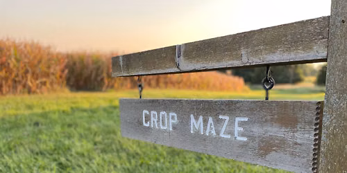 Corn Maze - Opens