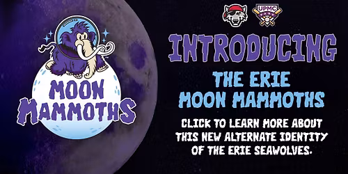 Parking Harrisburg Senators at Erie SeaWolves