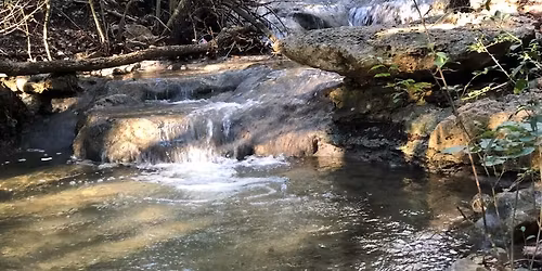 Wildfire Preparedness and Evacuation Planning