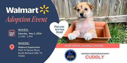 Walmart Adoption Event | North Richland Hills TX 