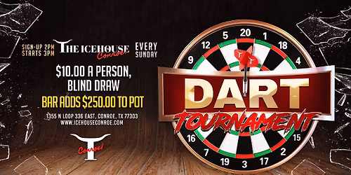 DART TOURNAMENT 