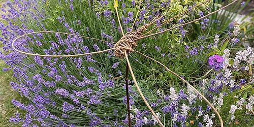 Willow Dragonflies and Bullrushes