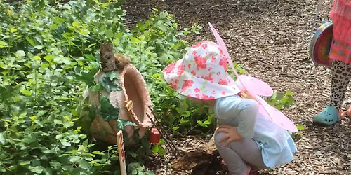 Woodland Fairy Garden Walk