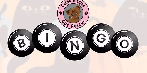Cocoa Kitties Fall Bingo Fundraiser