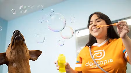 Monster Mash Bubble Party