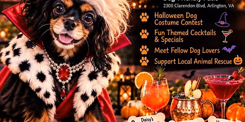 Celebrate Howl-O-Ween with Daisy\u2019s Legacy!
