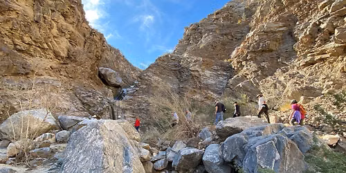 Carrizo Canyon Hike