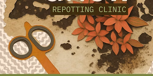 SPACE TO GROW: Repotting Clinic