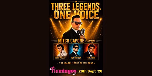 Mitch Capone and The Magnificent Seven