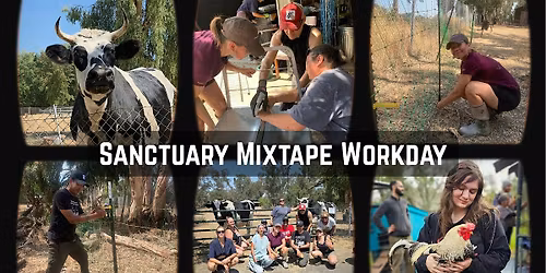 Sanctuary Mixtape Workday