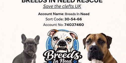 Breeds In Need Dog Walk 