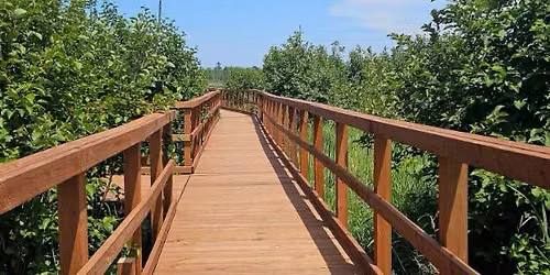 Guided Walk: Marsh Meander
