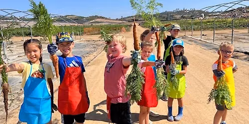 Summer Farm Camp, Session 4 (July 27-July 31, 2026) Mellano Farm Stand, Oceanside