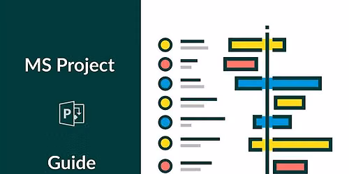 MS Project in 10 Steps, 1-hour Practical Workshop