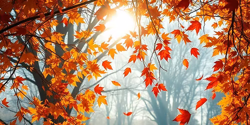 Echos of Autumn: A Guided Meditation & Nature Inspired Art Journey