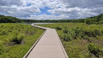 Easy Nature Walk at Huntley Meadows  (Alexandria)