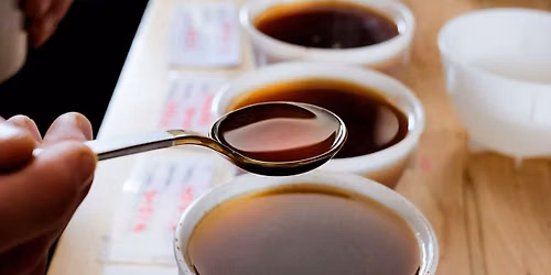 Sip Society: Coffee Cupping